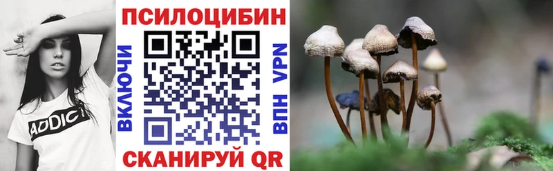 Псилоцибиновые грибы Psilocybine cubensis  Купить закладки  Суровикино 